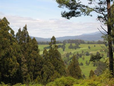 Lot 4 Lloyds Road, Franklin