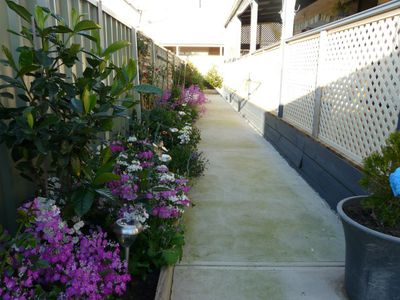 Tocumwal