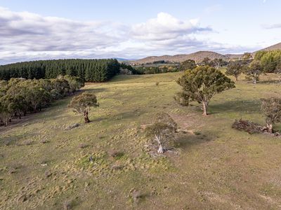 122 Koombahlah Road, Primrose Valley