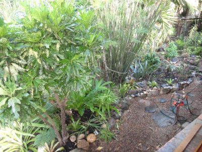 4 Ann Street, Cooktown