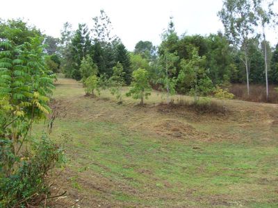Maleny
