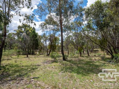 26 Quirk Street, Emmaville