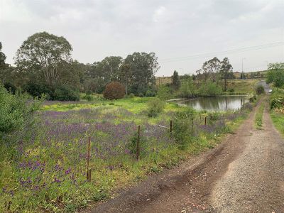 1105 Camden Valley Way, Leppington