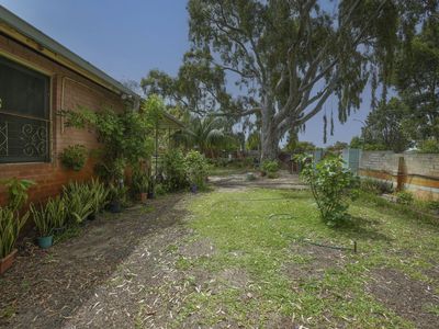 35 Dorothy Street, Ashfield