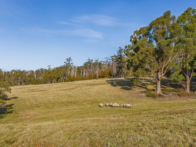 Lot 2, Klynes Road, Lymington