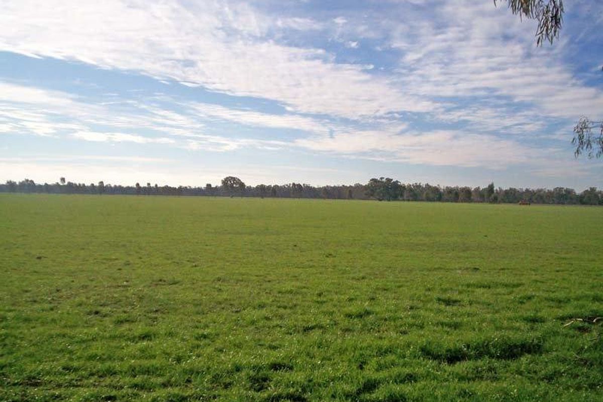 Cnr Davies Roads & Warren Roads, Undera