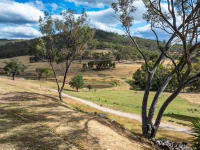 "Mornington Heights" 634 Splitters Creek Road, Splitters Creek
