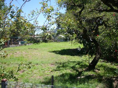 31 Beatty Road, Archerfield