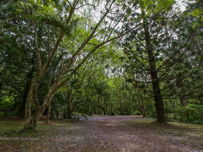336 Stony Chute Road, Nimbin