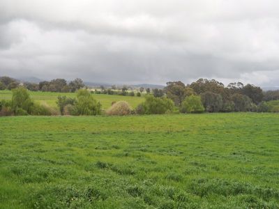Beechworth-Wodonga Road, Wooragee