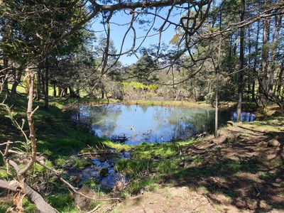 Lot 1 (99 Acres), Coal Mine Road, Kaoota