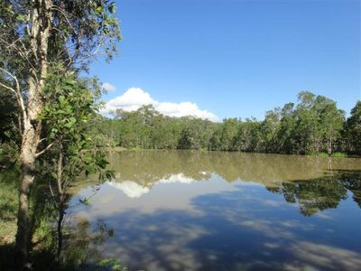 Poison Creek Road, Cooktown
