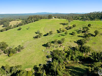9052 Princes Highway, Tilba Tilba