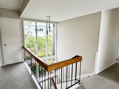 19 Mappin Place, Chatswood