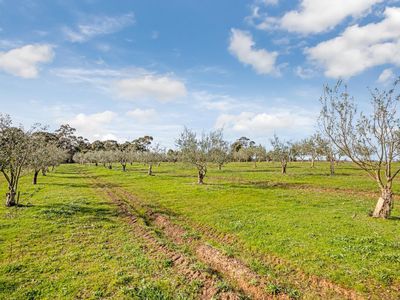 128 Dealba Road, Mount Camel
