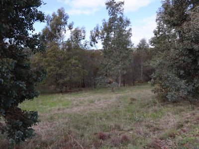 260  Dons Lane, Glenhope East