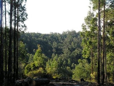 Highway, Surges Bay
