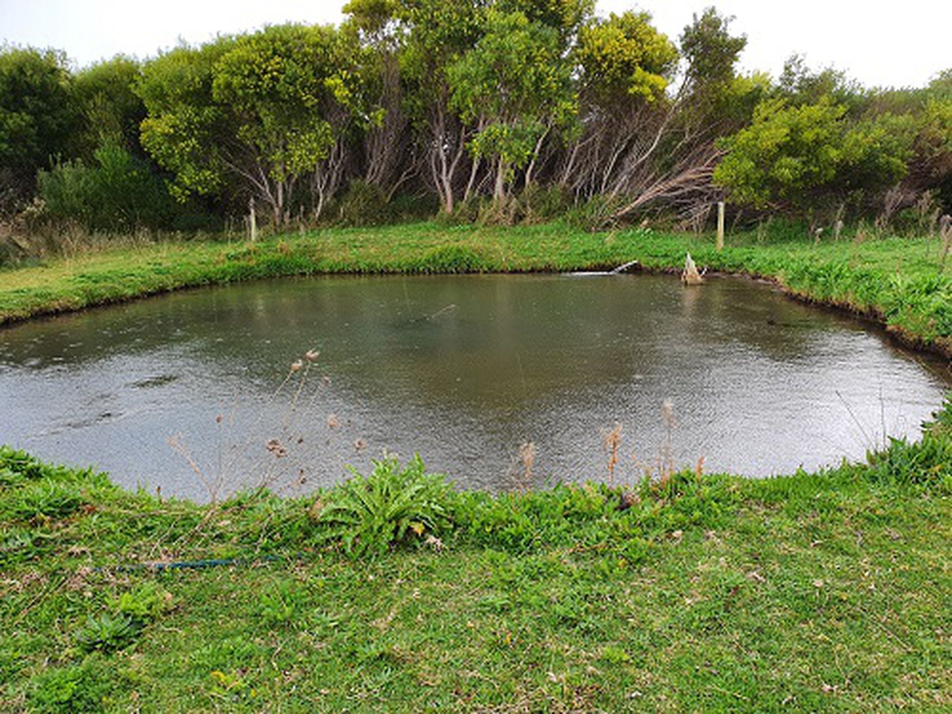 1149A Bog Lane, Robe