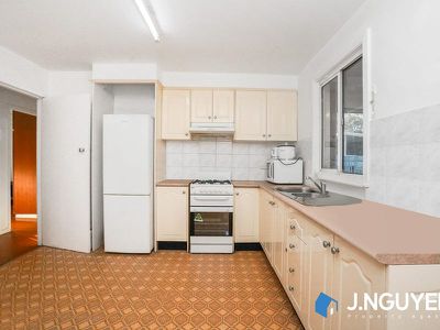 105 Jasmine Crescent, Cabramatta