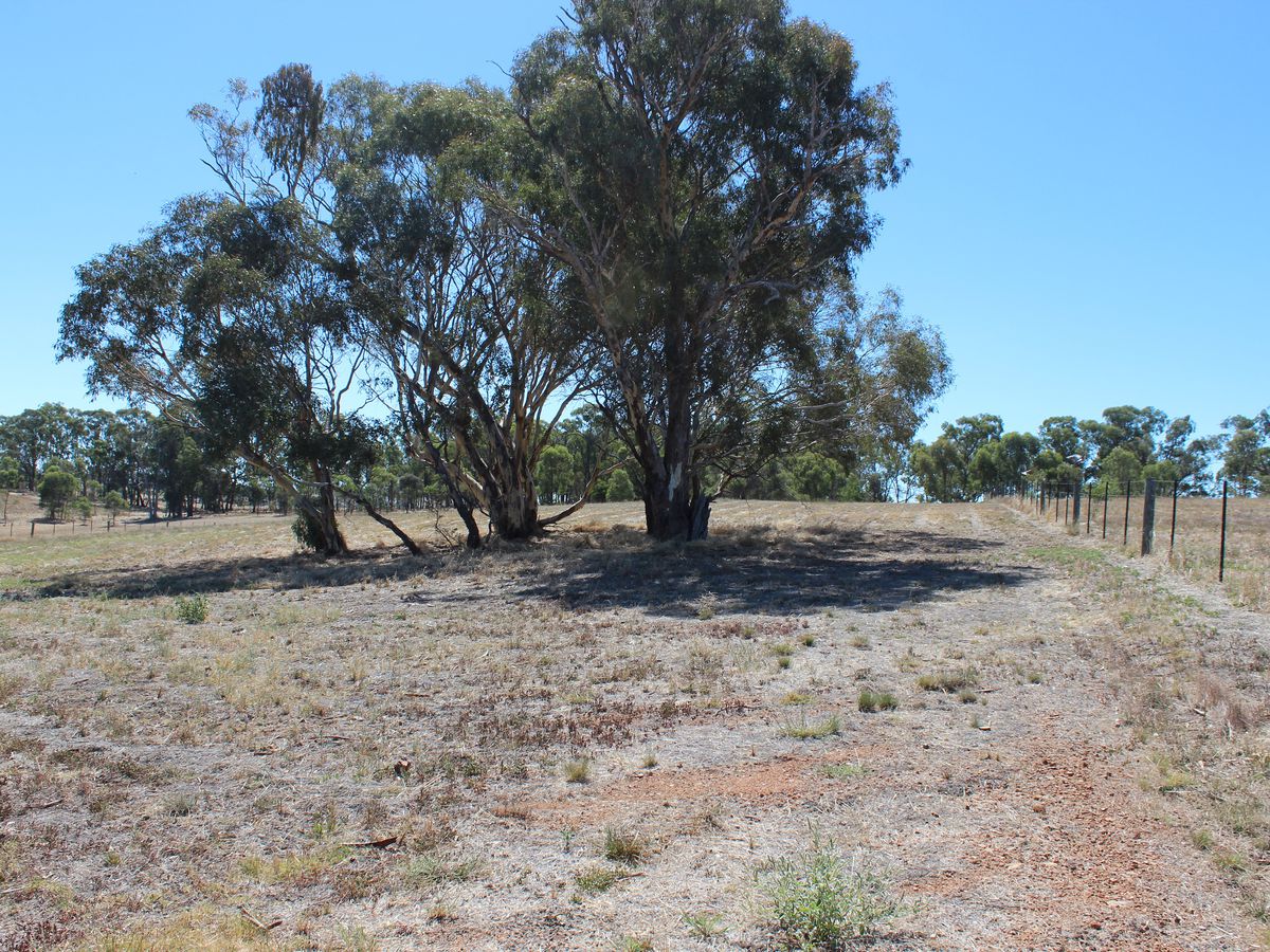 Lot 45, Lakeside Drive, Chesney Vale