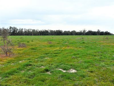 Lot 4 Woolshed Road, Tocumwal