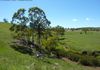 779 Lower Lewis Ponds Road, Orange