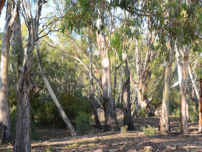 Lot 42, Riverview Drive, Barham