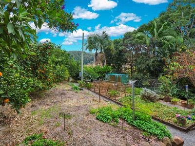 143 Parmenter Road, Coffee Camp