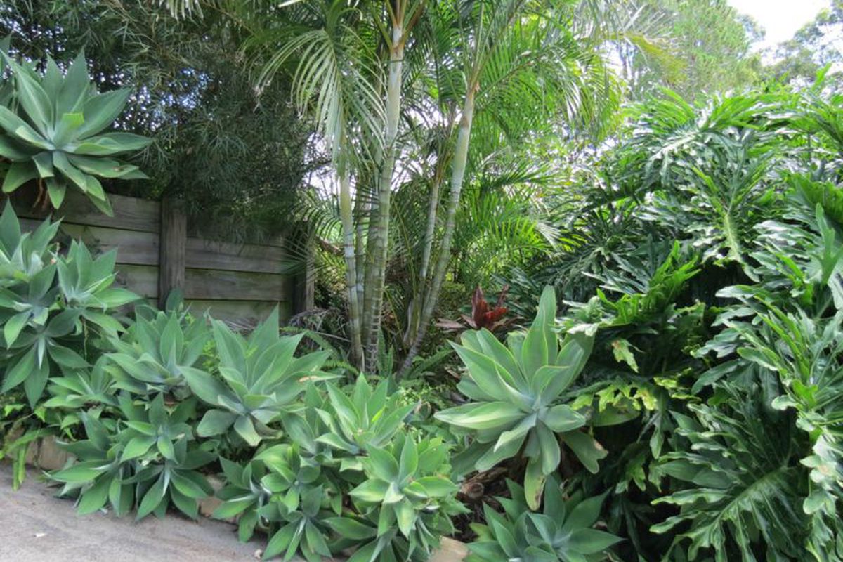 236 Fords Road, Koorainghat
