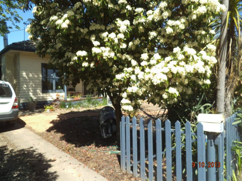 - Malcolm Street, Mansfield