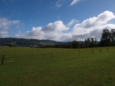 Harrisons Road, Cradoc