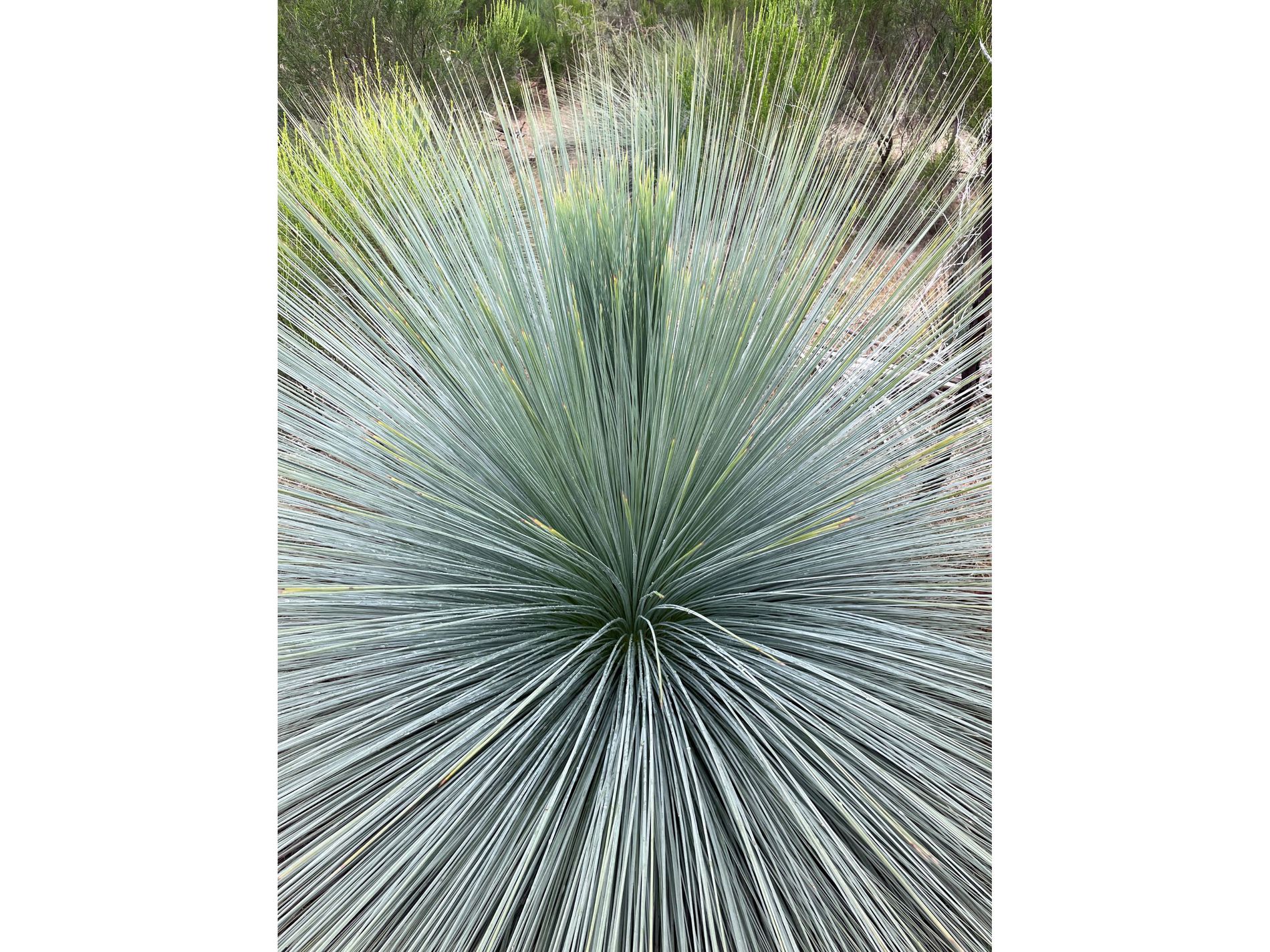 Lot 12 Heathcote-Nagambie Road, Moormbool West