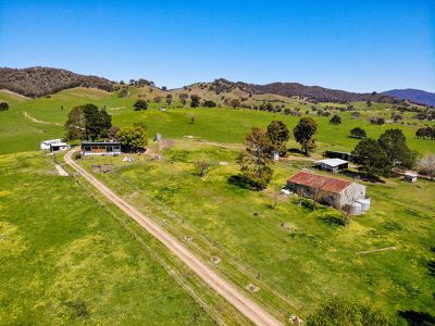 38 Howqua River Road, Piries