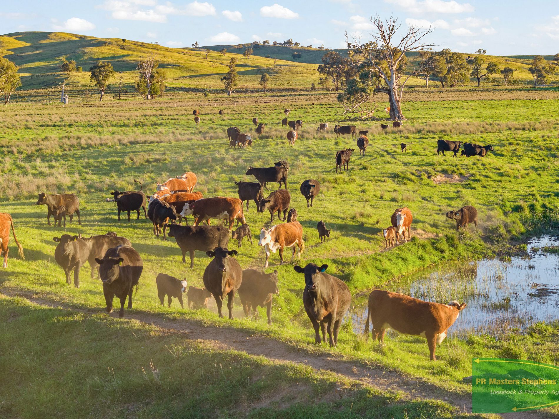 351 Shepherds Creek Road, Euchareena