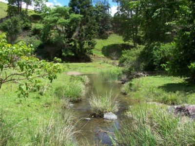 Maleny