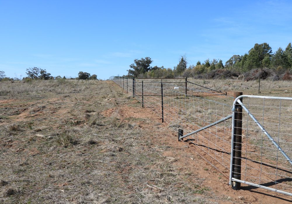 Back Trundle Road, Parkes