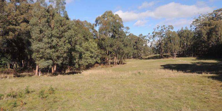 120 Steens Road, Boho