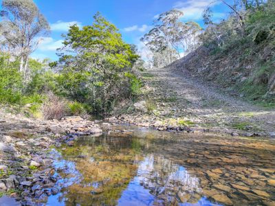 Lot 193 / 443 Back Creek Road, Mongarlowe