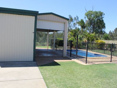 127 Ibis Boulevard, Eli Waters