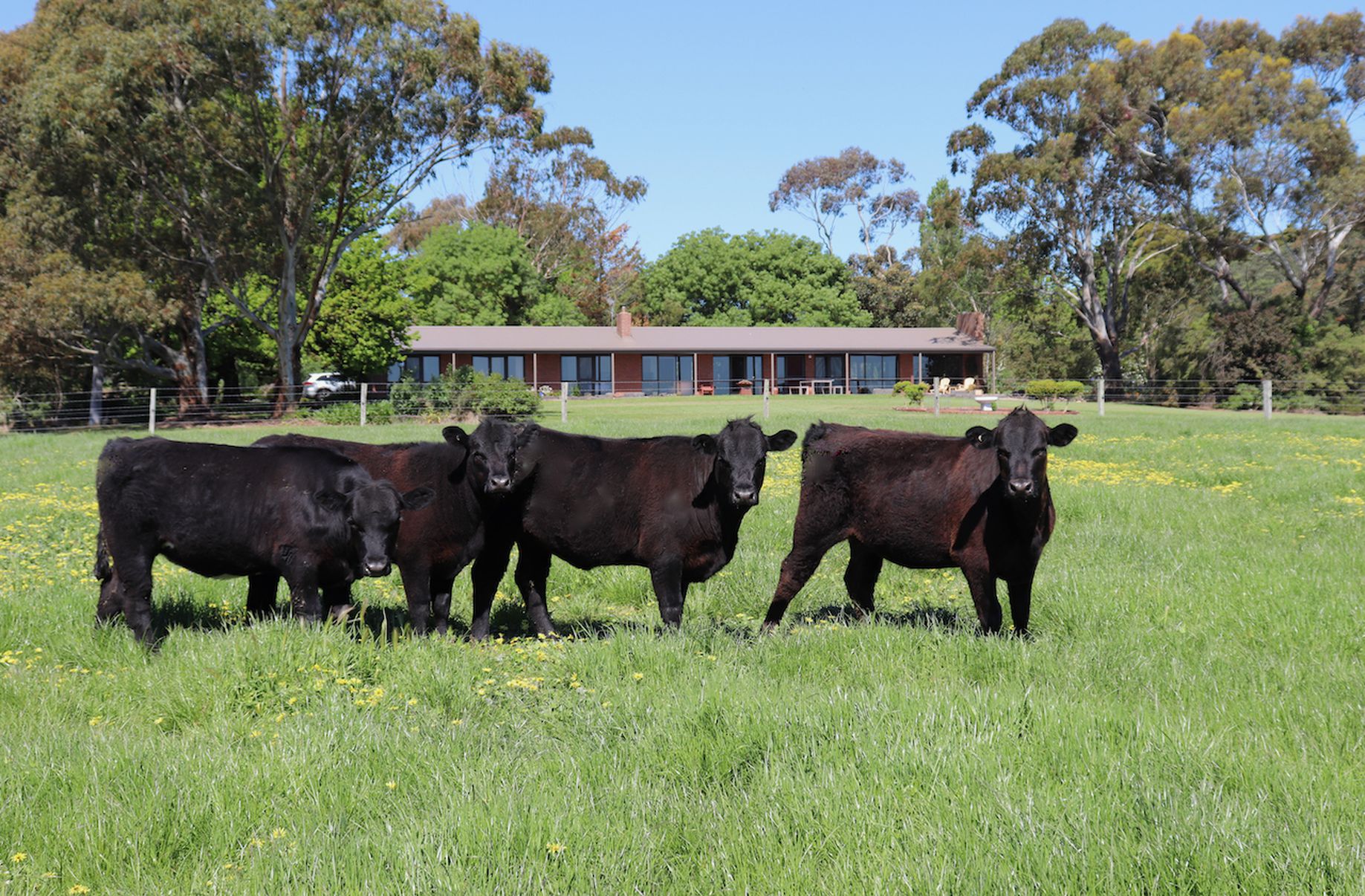 110 DRAPERS ROAD, Colac East