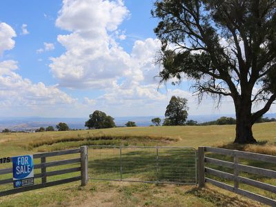 175 Ambrose Drive, Tolmie