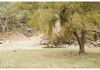 1420 Bundalah Road, Euchareena