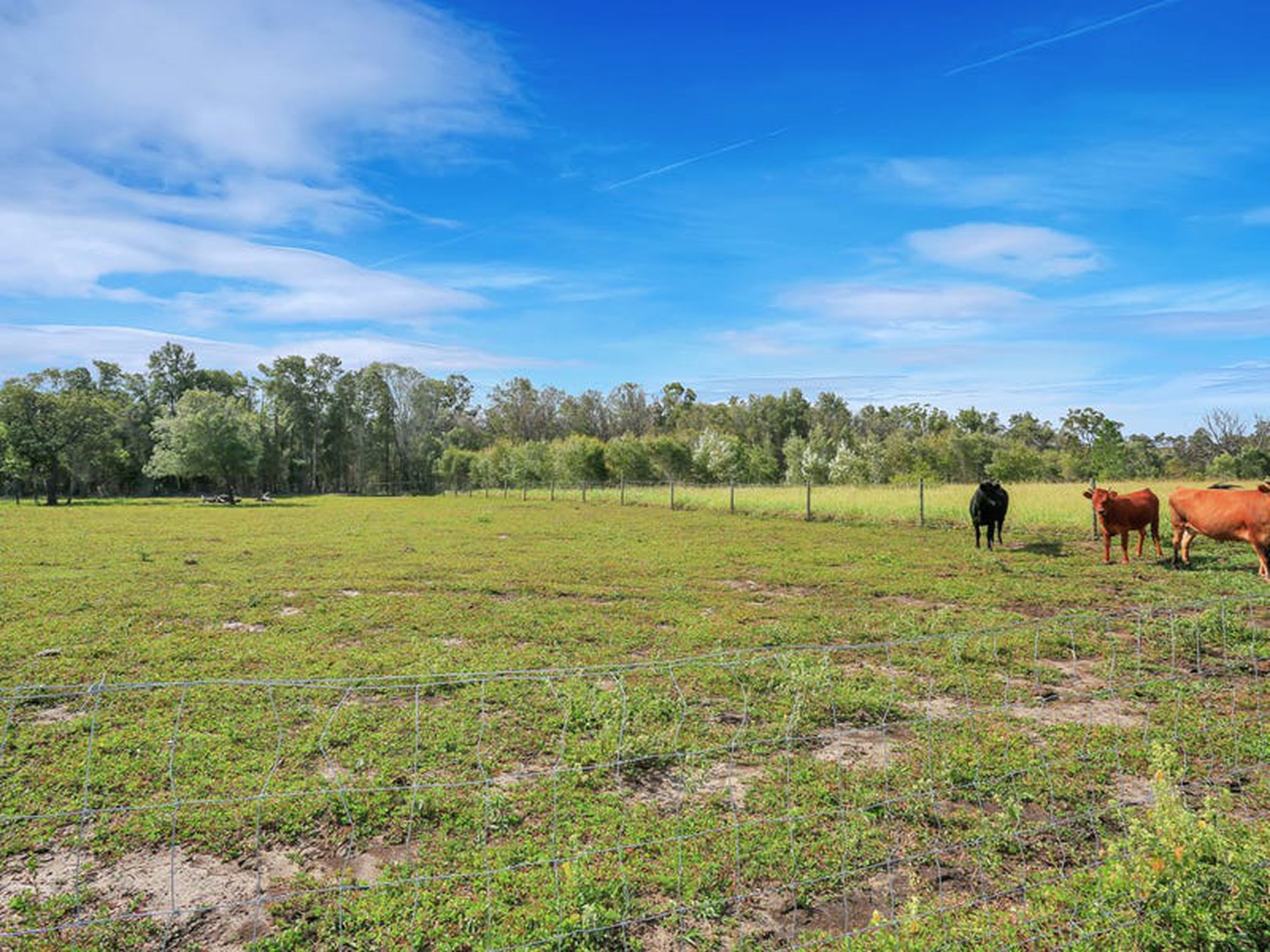191 Woodgate Rd, Woodgate