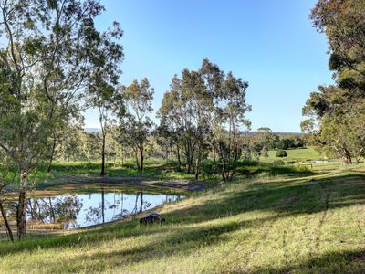 29 Rodert Road, Meadows