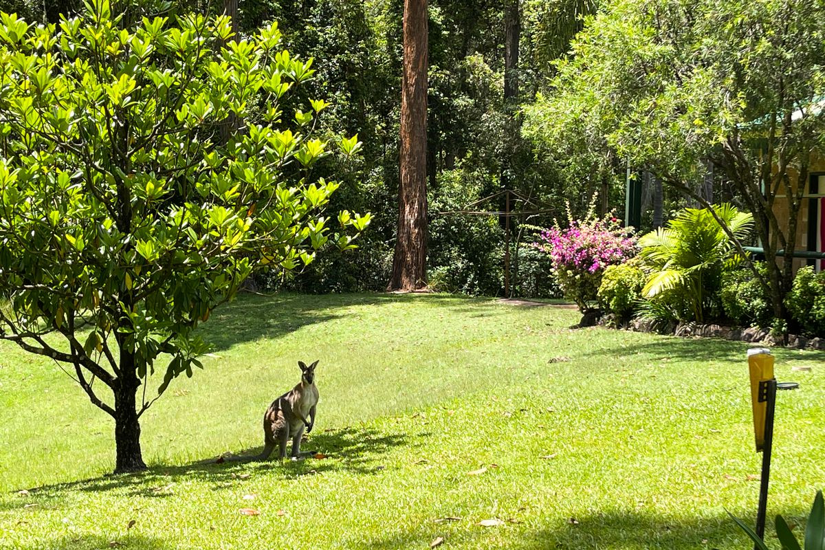 45 Iluka Circuit, Taree