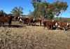 1643 North Bannister-Wandering Road, Wandering
