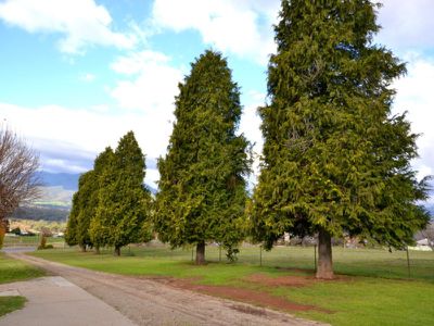 7348 Kiewa Valley Highway , Tawonga