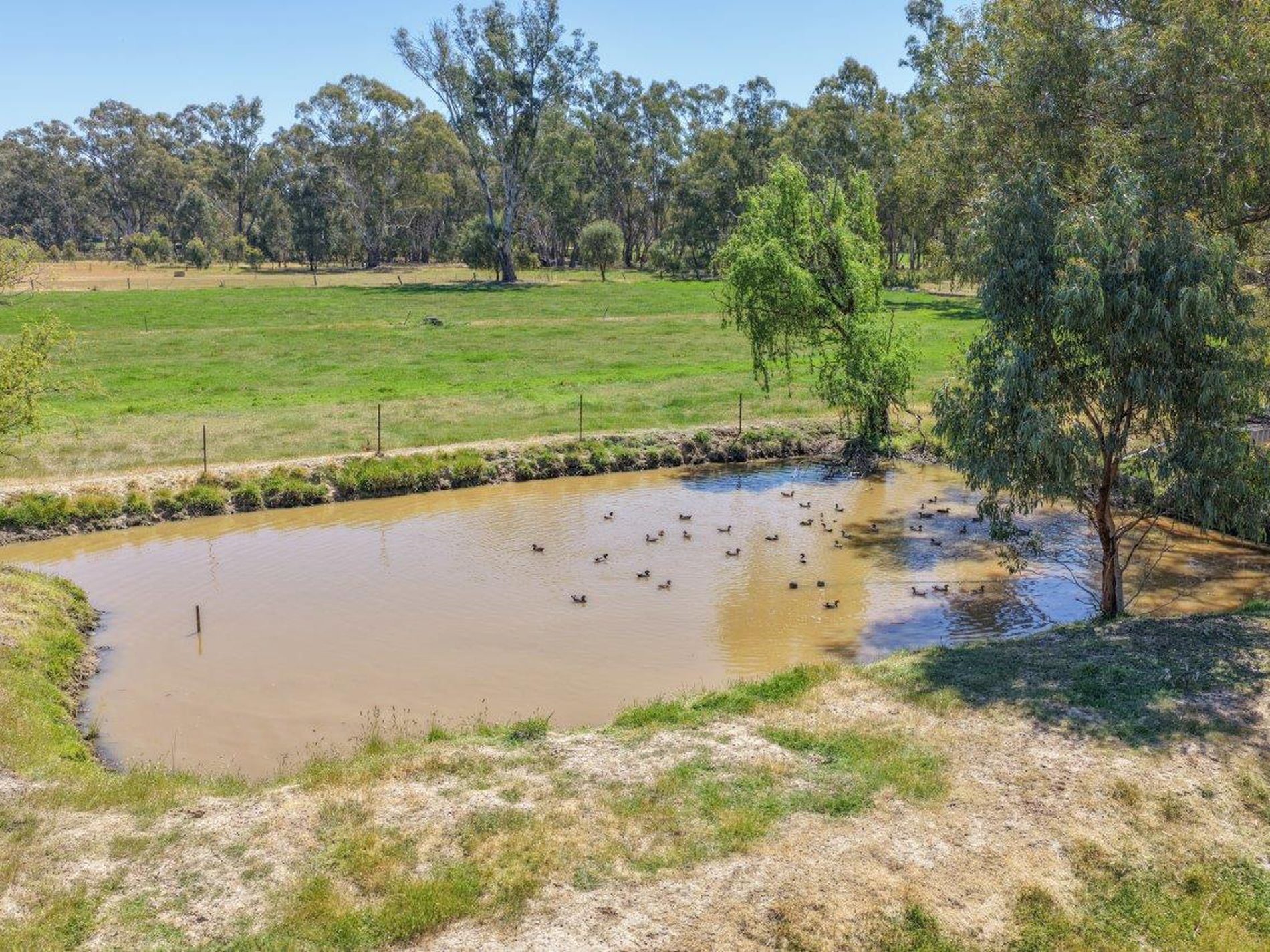 111 CASSIDY LANE, Koondrook