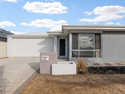 43 Greenpoint Way, Hilbert