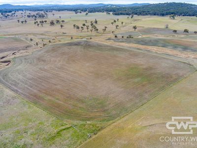 Lot Plain View South, 916 Emmaville Road, Glen Innes